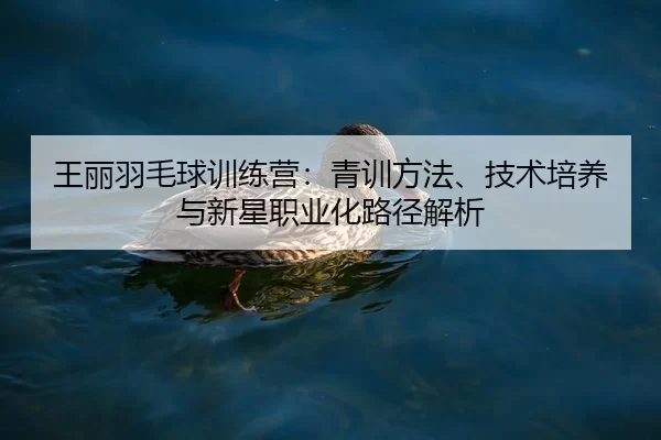 王丽羽毛球训练营：青训方法、技术培养与新星职业化路径解析