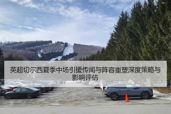 ying-chao-qie-er-xi-xia-ji-zhong-chang-yin-yuan-chuan-wen-yu-zhen-rong-zhong-su-shen-du-ce-lve-yu-ying-xiang-ping-gu-2-322.jpg