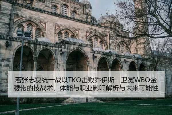 若张志磊统一战以TKO击败乔伊斯：卫冕WBO金腰带的技战术、体能与职业影响解析与未来可能性